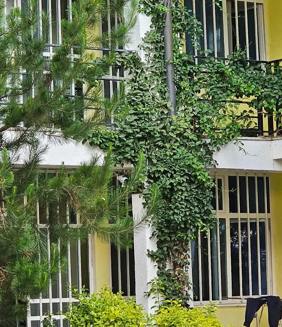Avi-Pension Addis-Abeba 0*,